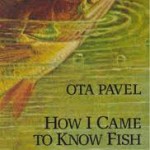 How I Came to Know Fish Book Cover