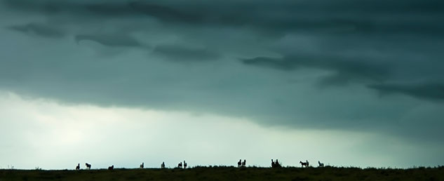 Horses with Ominous Clouds