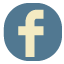 Robert McDowell Facebook Icon